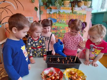 Проект "Огород на окне"